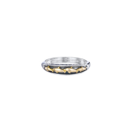 Dolphins Band Ring k18 Yellow Gold and Sterling Silver 925