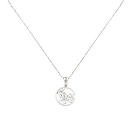 Capricorn Zodiac Gold sign Necklace Charms k14