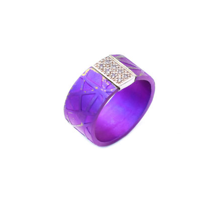 Textured Titanium Ring with Silver Bar and 8 Zirconia