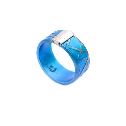 Medium-Width Anodized Titanium Ring with Sterling Silver Detail