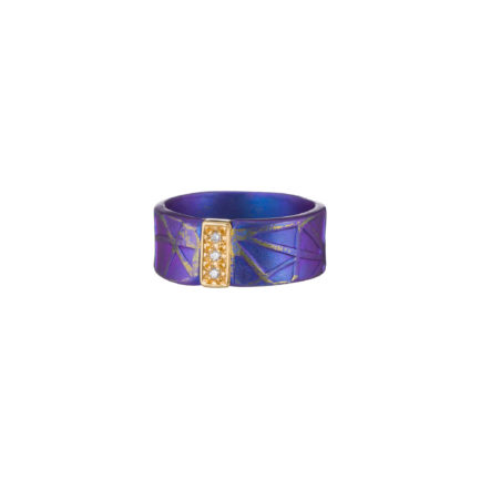 Unique Titanium Band Ring with k18 gold and Diamonds