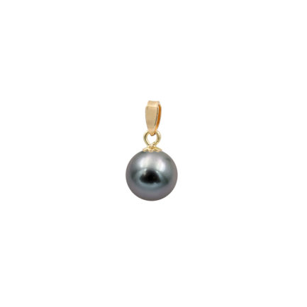 Akoya Black Pearl Japan 7.5-8mm AAAA Round 14k Gold N153216-PE
